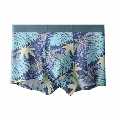 Impressão Breve de Roupa Interior Masculina