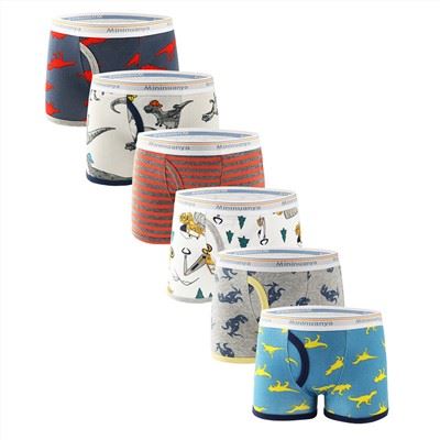 Boy Boxer Shorts